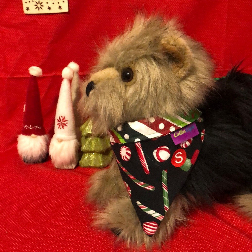 Pet bandanna